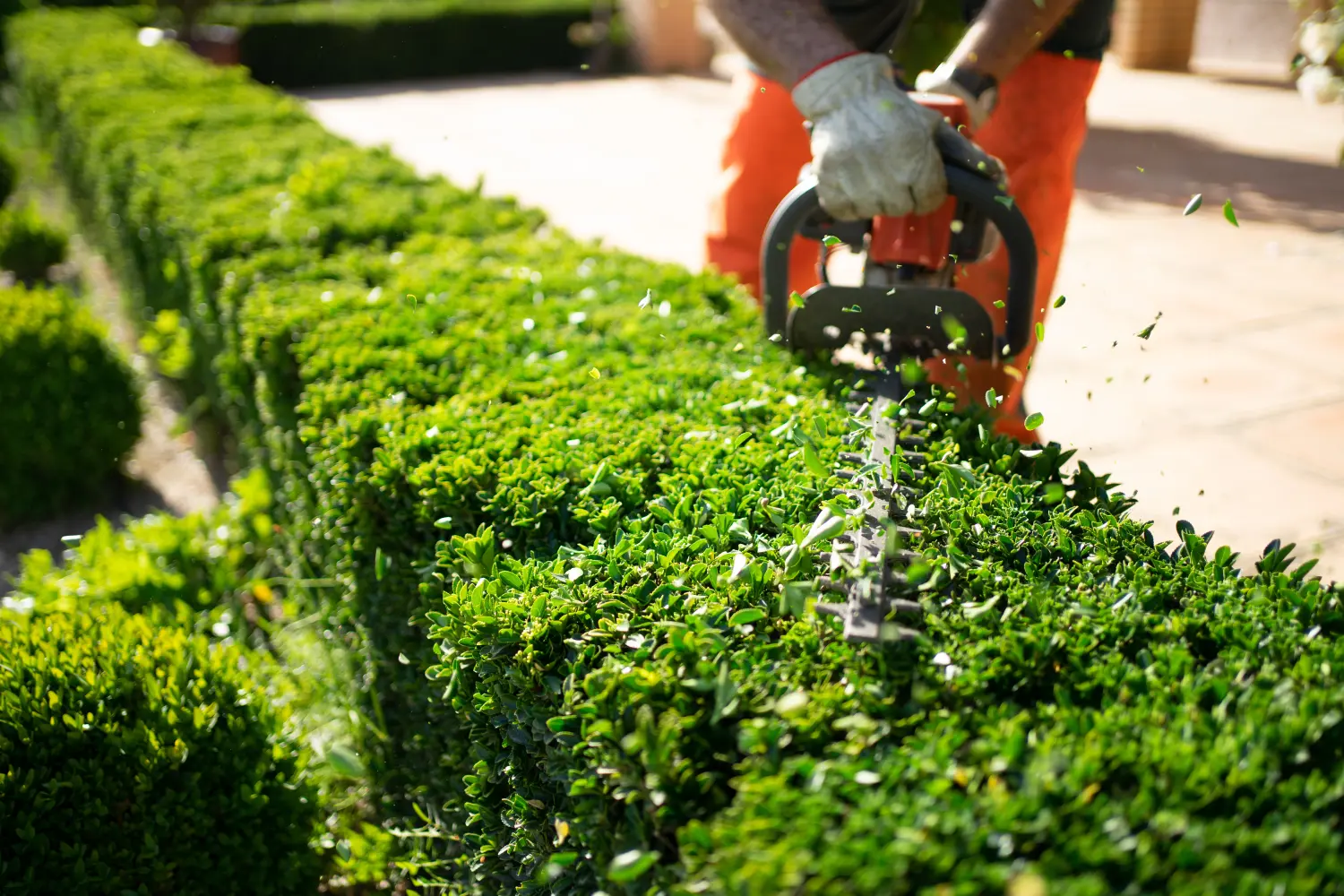 Gartenpflege  von N&T Gebäudeservice